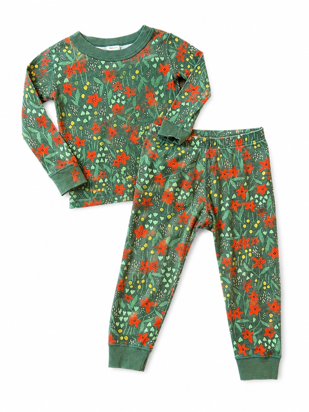 Hanna Andersson Floral Organic Cotton Pajama Set Girls 3T Green
